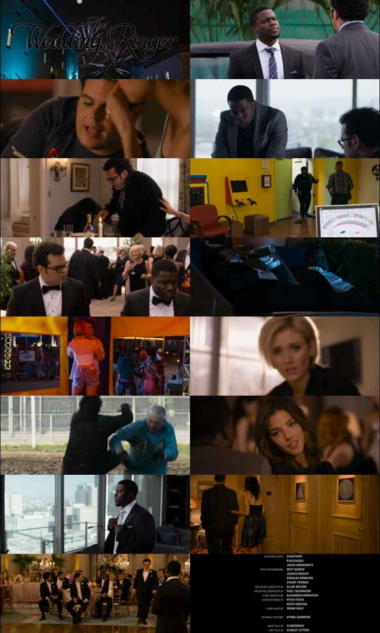 The Wedding Ringer 2015 Hindi ORG Dual Audio Movie DD2.0 1080p 720p 480p BluRay ESubs x264 HEVC The Wedding Ringer 2015 Hindi ORG Dual Audio Movie DD2.0 1080p 720p 480p BluRay ESubs x264 HEVC