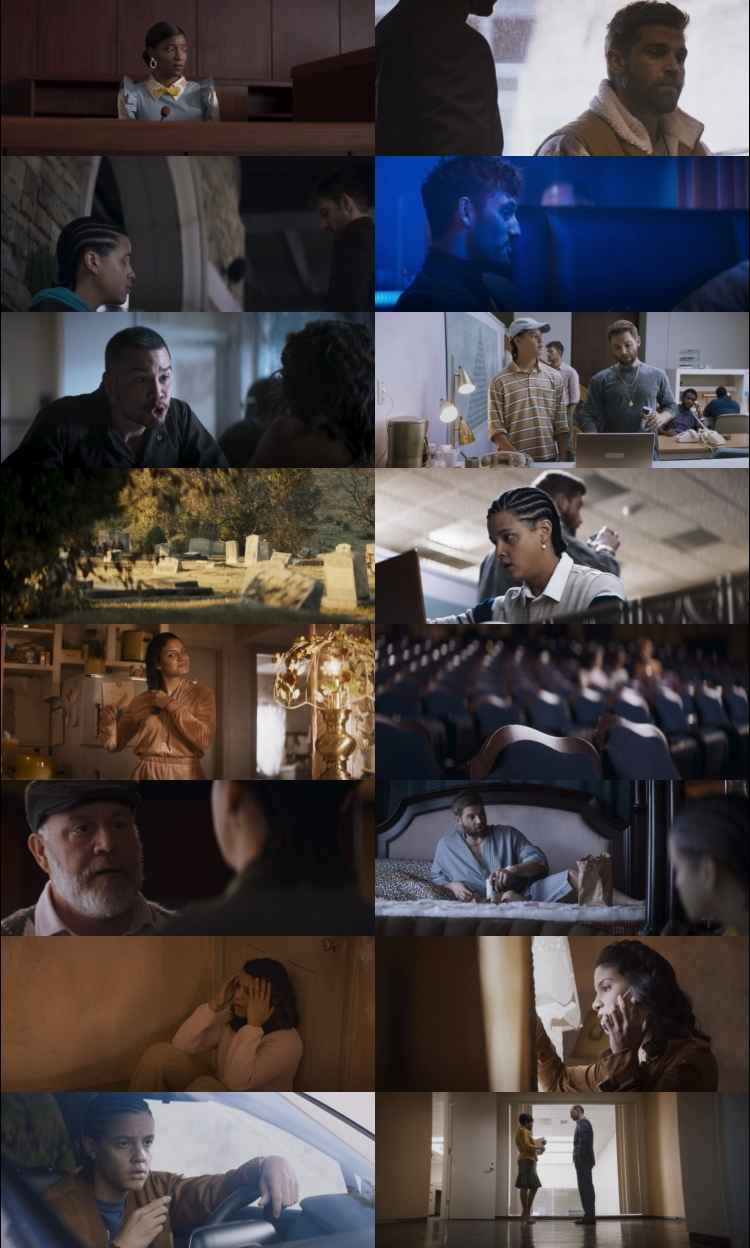 Collection 2021 Hindi ORG Dual Audio Movie DD2.0 1080p 720p 480p BluRay ESubs x264 HEVC Collection 2021 Hindi ORG Dual Audio Movie DD2.0 1080p 720p 480p BluRay ESubs x264 HEVC