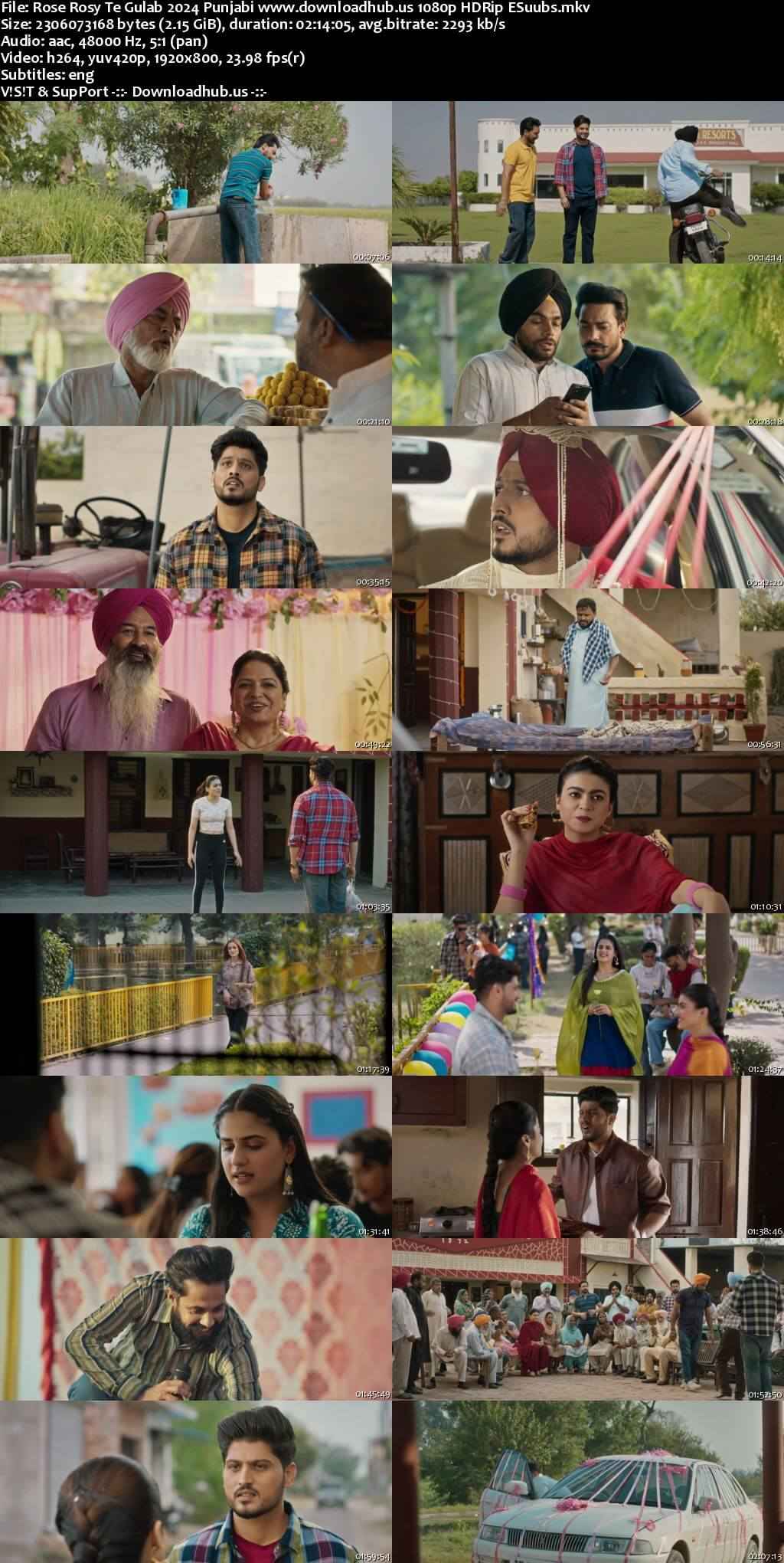 Rose Rosy Te Gulab 2024 Punjabi DD5.1 Movie 4k 1080p 720p 480p HDRip ESubs HEVC