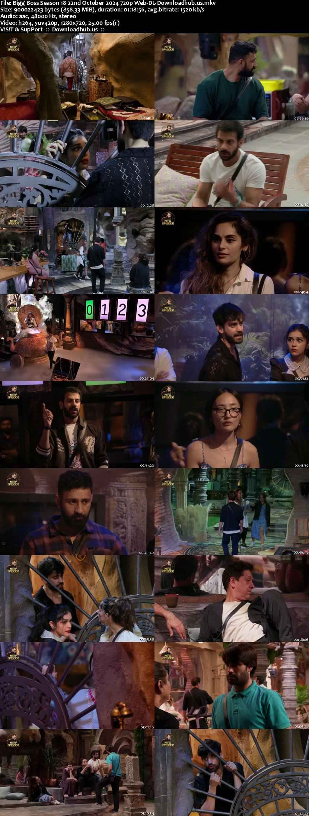 Bigg Boss Season 18 22 October 2024 Episode 17 Web-DL 720p 480p