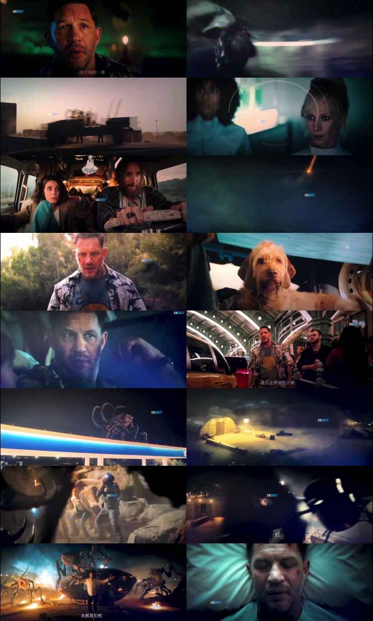 Venom The Last Dance 2024 Hindi Dual Audio Movie 1080p 720p 480p HDCAM Venom The Last Dance 2024 Hindi Dual Audio Movie 1080p 720p 480p HDCAM