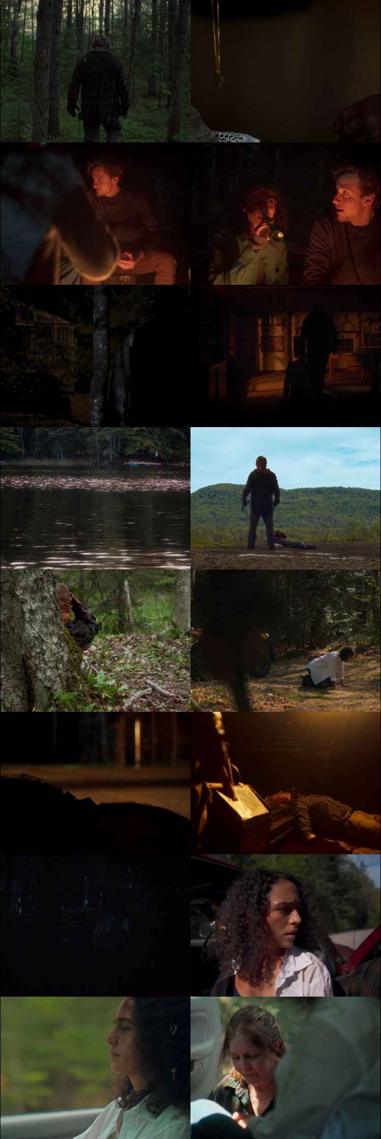 In A Violent Nature 2024 Hindi ORG Dual Audio Movie DD5.1 1080p 720p 480p Web-DL x264 HEVC