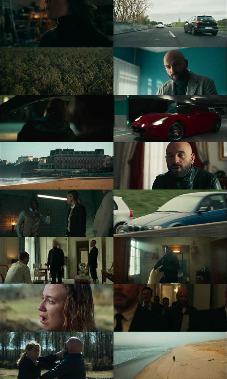 The Twister Caught in the Storm 2025 Hindi ORG Dual Audio Movie DD5.1 1080p 720p 480p Web-DL x264 HEVC
