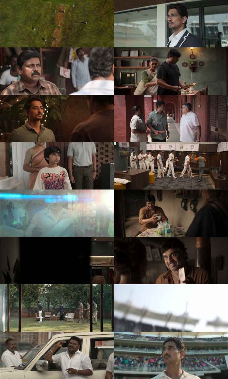 Test 2025 Hindi ORG Dual Audio Movie DD2.0 1080p 720p 480p UNCUT HDRip ESubs x264 HEVC