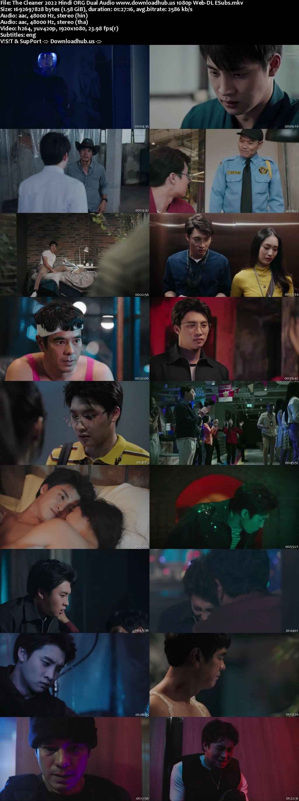 The Cleaner 2022 Hindi ORG Dual Audio Movie DD2.0 1080p 720p 480p Web-DL ESubs x264 HEVC