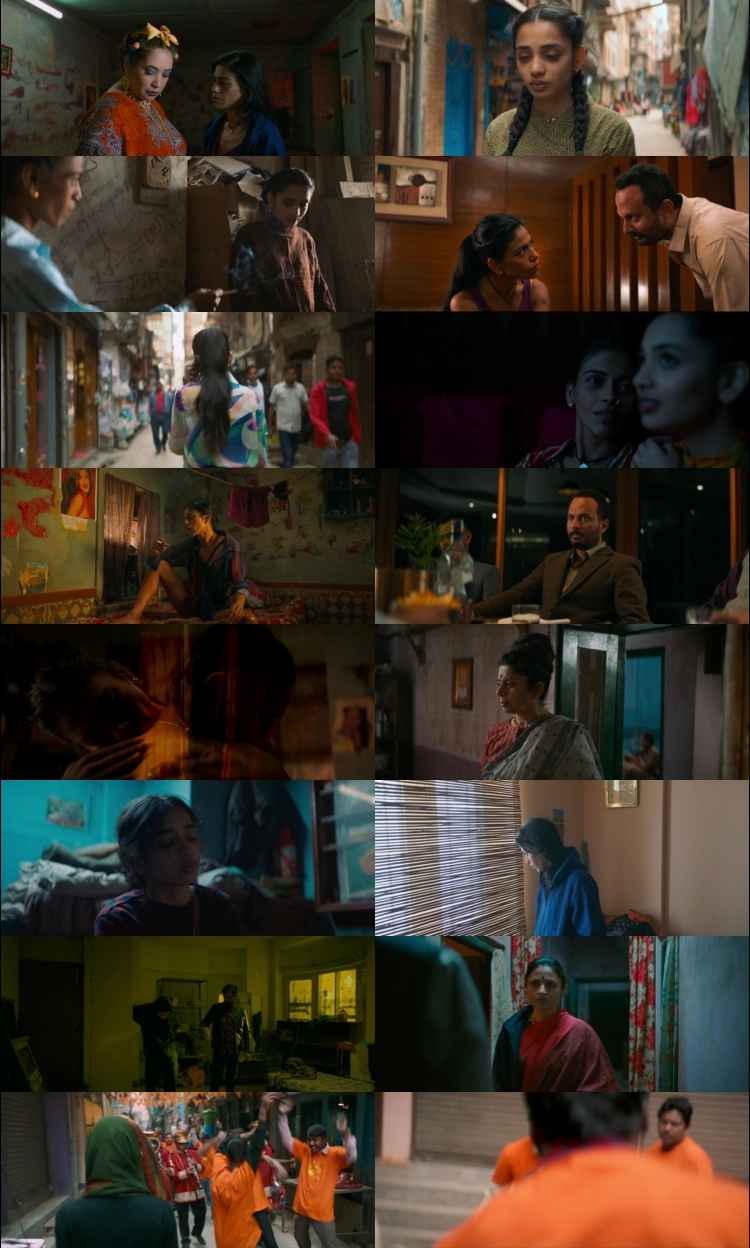 The Shameless 2024 Hindi Movie 1080p 720p 480p Web-DL x264 HEVC