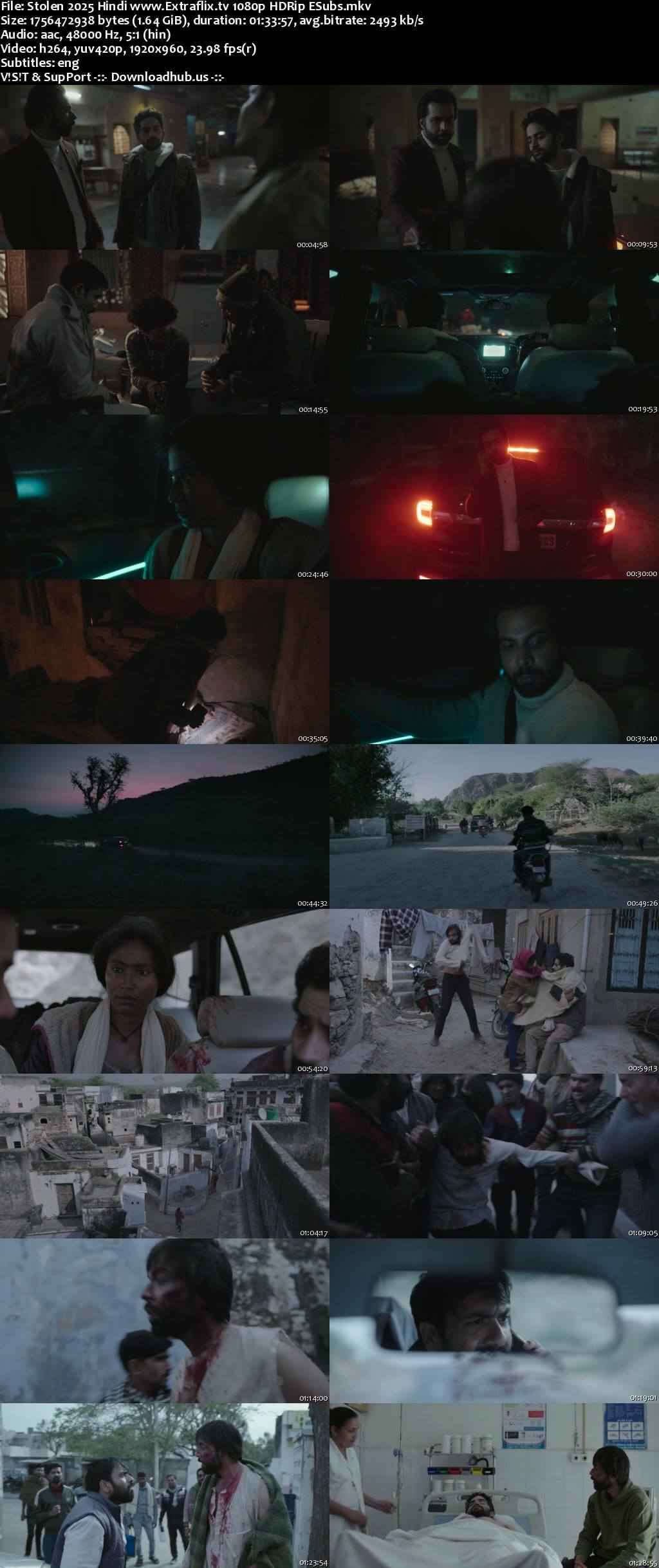Stolen 2025 Hindi Movie DD5.1 4k 1080p 720p 480p HDRip ESubs x264 HEVC