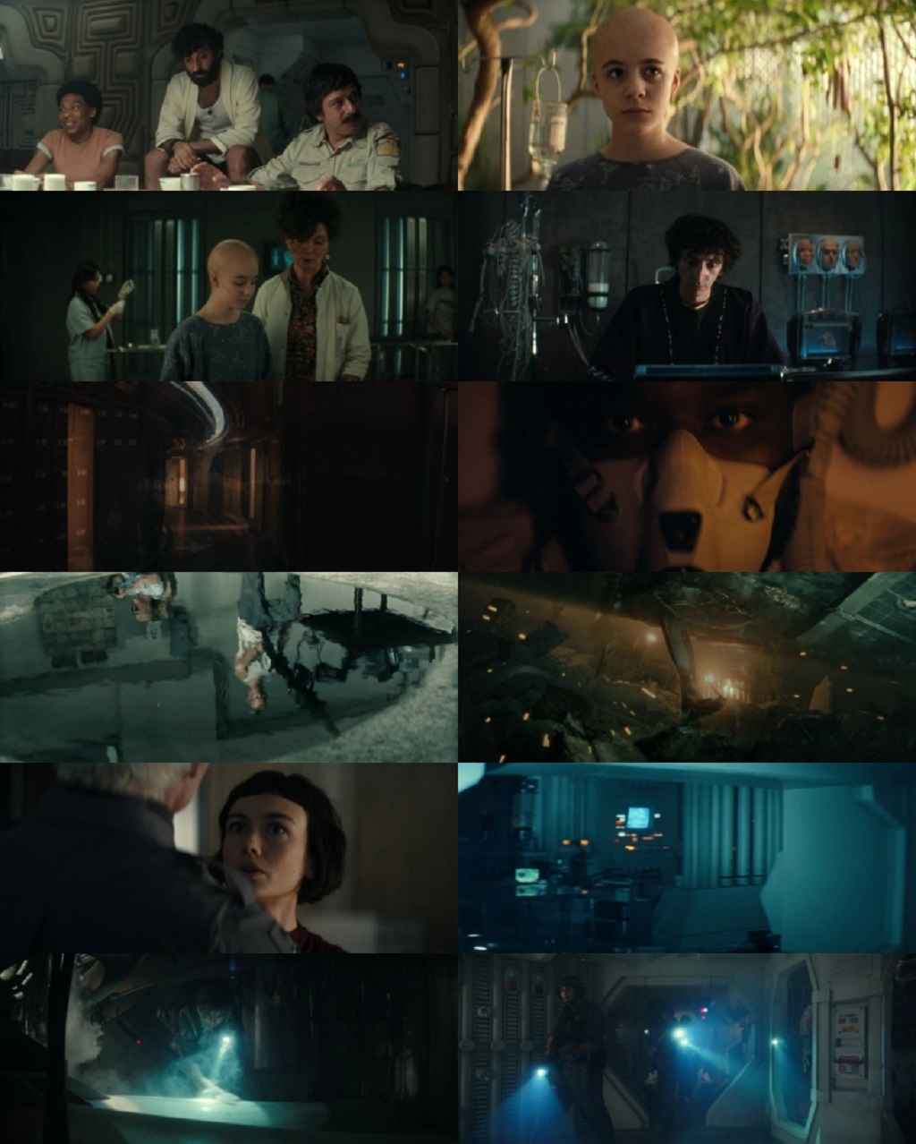 Alien Earth 2025 S01 Complete Hindi Dual Audio 1080p 720p 480p Web-DL ESubs