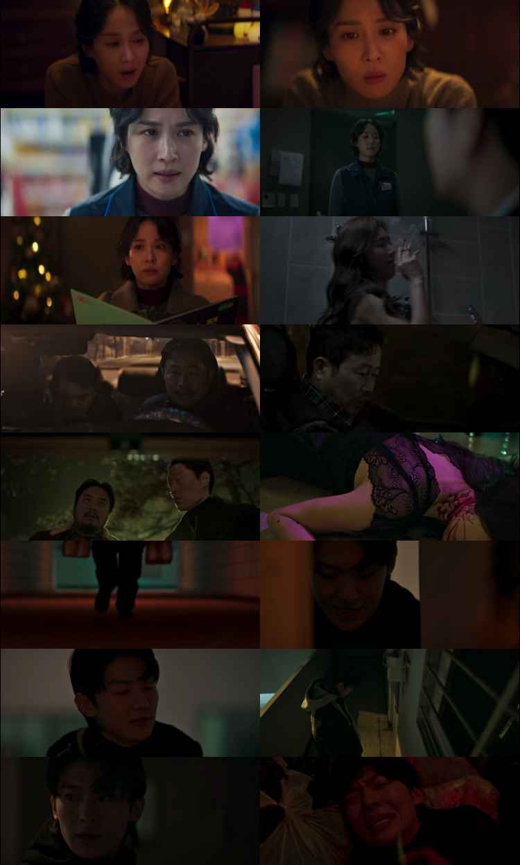 Tarot 2024 Hindi ORG Dual Audio Movie DD2.0 1080p 720p 480p Web-DL ESubs x264 HEVC