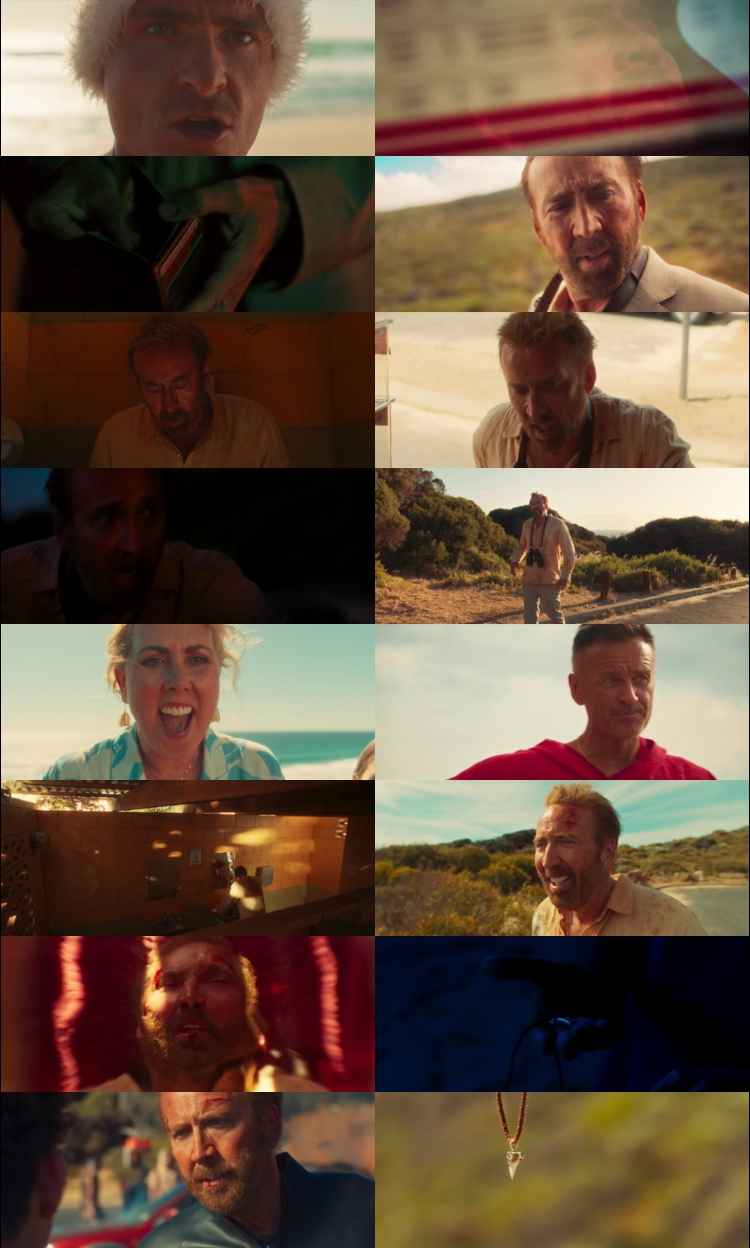 The Surfer 2024 Hindi ORG Dual Audio Movie DD2.0 1080p 720p 480p Web-DL ESubs x264 HEVC