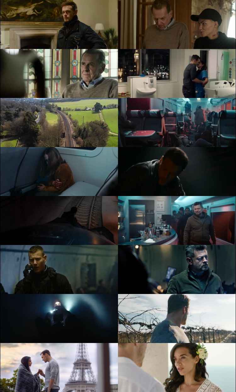 SAS Red Notice 2021 Hindi ORG Dual Audio 1080p 720p 480p BluRay ESubs