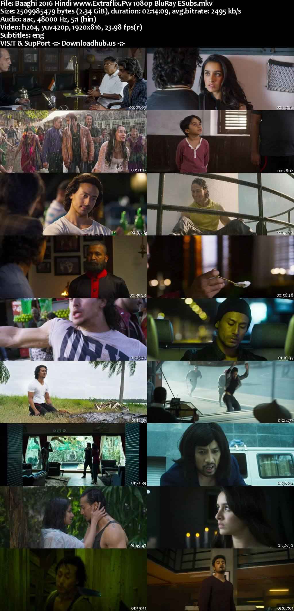 Baaghi 2016 Hindi Movie DD5.1 4k 1080p 720p 480p BluRay ESubs x264 HEVC Baaghi 2016 Hindi Movie DD5.1 4k 1080p 720p 480p BluRay ESubs x264 HEVC