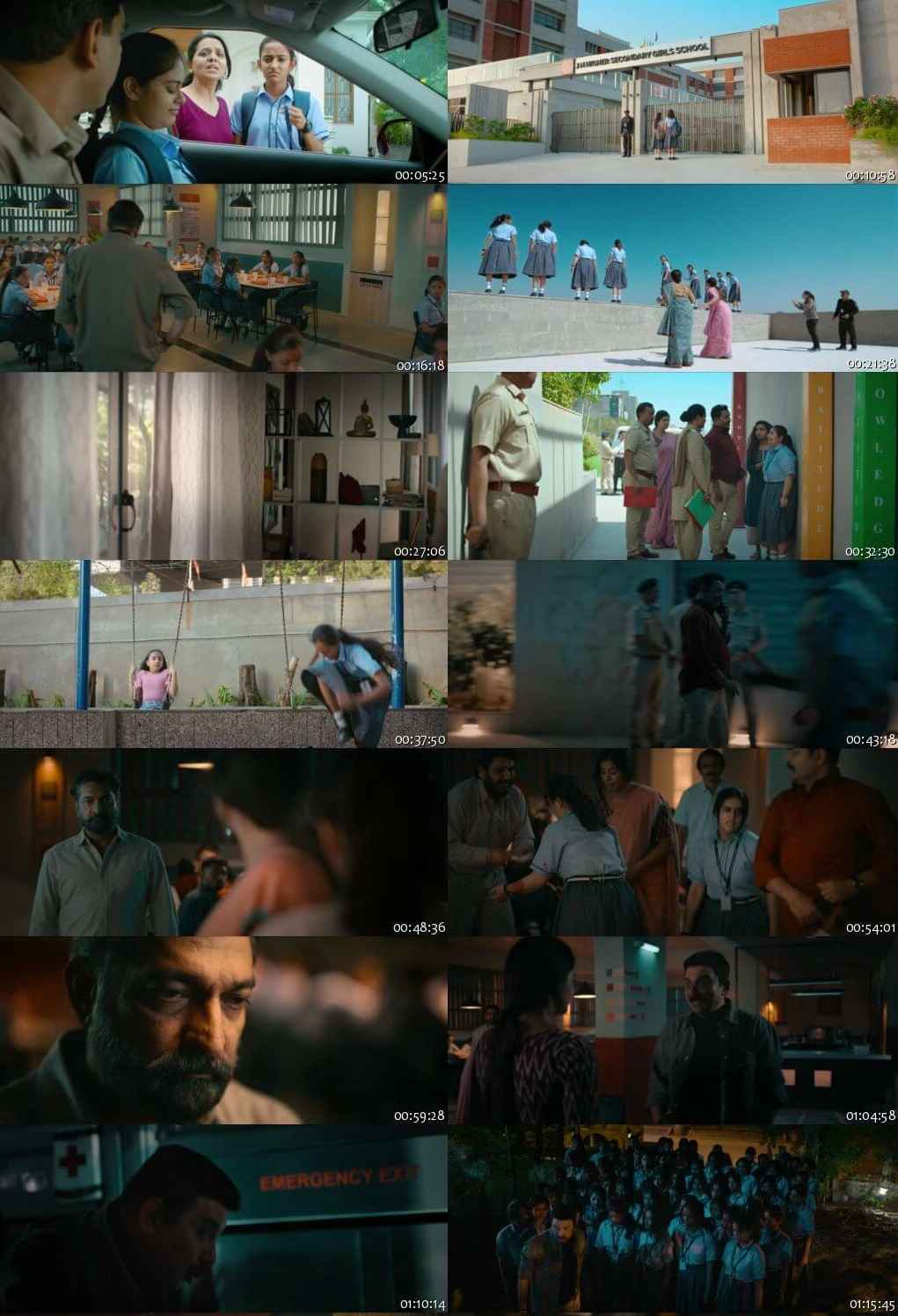 Vash Level 2 2025 Hindi ORG Dual Audio Movie DD2.0 4k 1080p 720p 480p UNCUT HDRip ESubs x264 HEVC