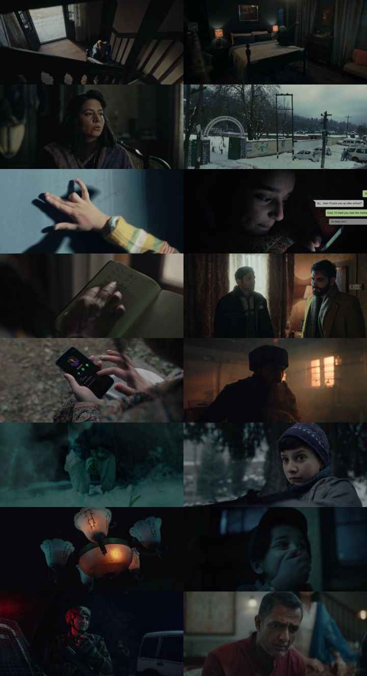 Baramulla 2025 Hindi ORG Dual Audio Movie DD5.1 1080p 720p 480p Web-DL x264 ESubs HEVC