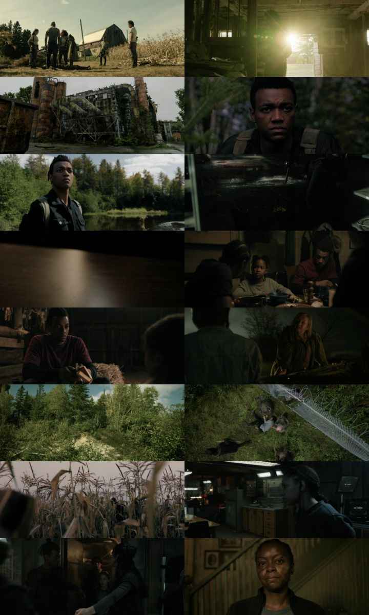 40 Acres 2025 Hindi ORG Dual Audio Movie DD5.1 1080p 720p 480p Web-DL x264 ESubs HEVC