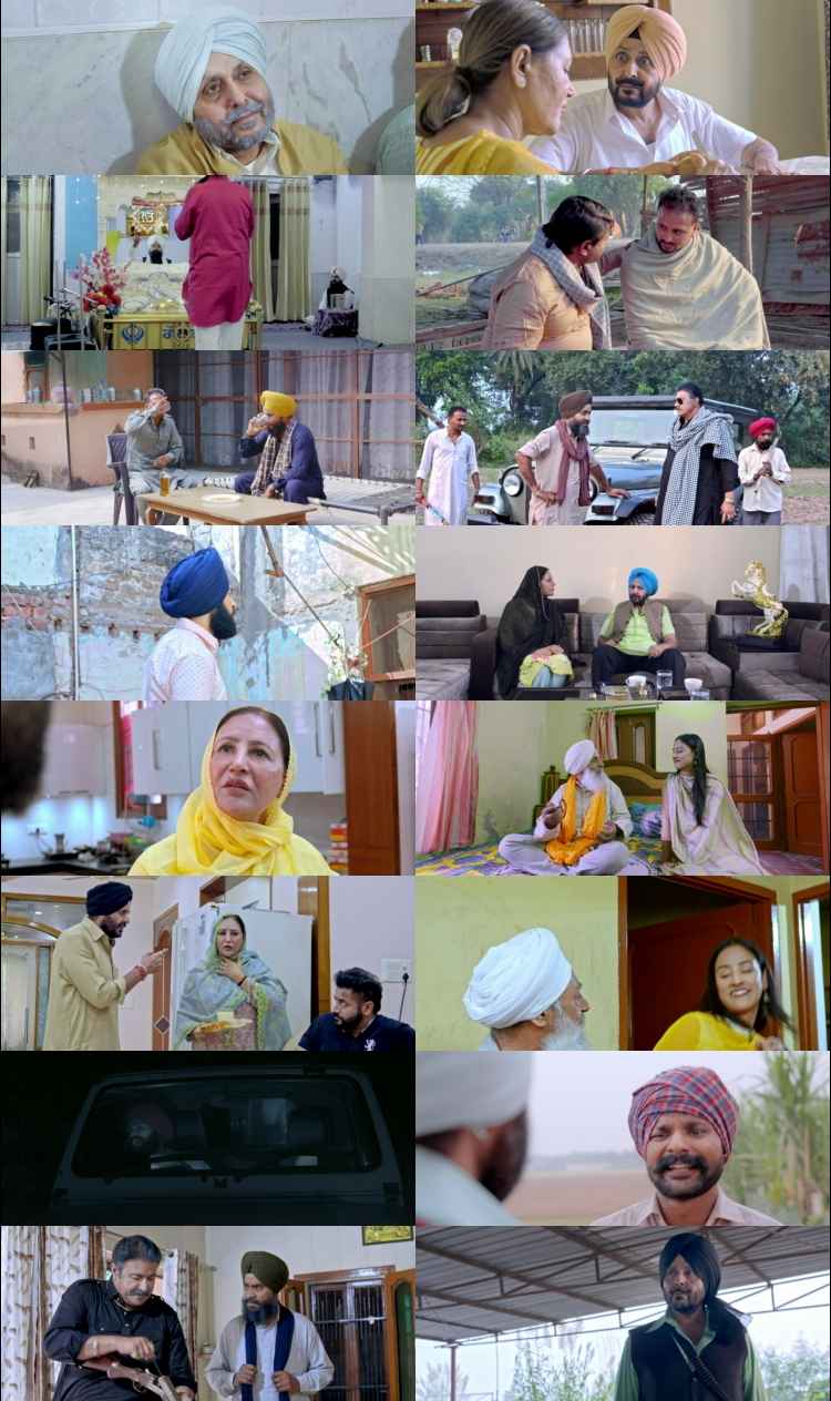 Tera Bhanna Mitha Laage 2025 Punjabi Movie DD5.1 1080p 720p 480p HDRip ESubs x264 HEVC