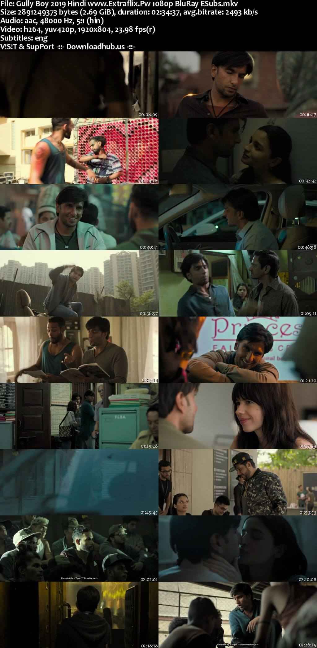 Gully Boy 2019 Hindi Movie DD5.1 4k 1080p 720p 480p BluRay ESubs x264 HEVC