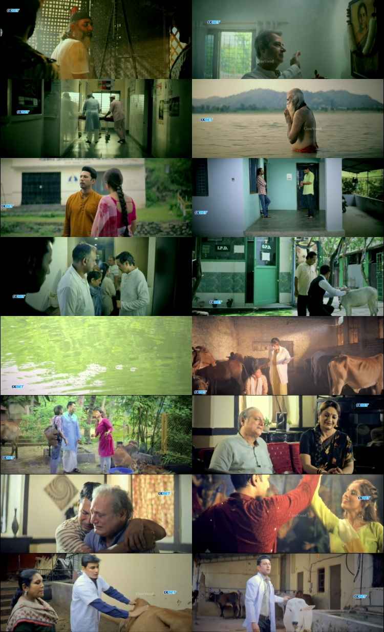 One Two Cha Cha Chaa 2026Hindi Movie 1080p 720p 480p HDTC x264 HEVC Godaan 2026 Hindi Movie 1080p 720p 480p HDTC x264 HEVC