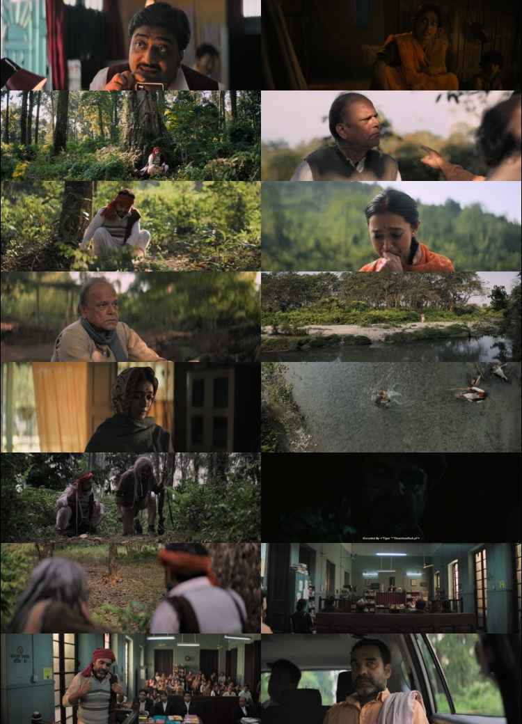 Sherdil 2022 Hindi Movie DD5.1 4k 1080p 720p 480p HDRip ESubs x264 HEVC