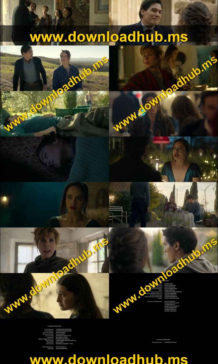 No Place to Be Single 2026 Hindi ORG Dual Audio Movie DD5.1 1080p 720p 480p Web-DL x264 ESubs HEVC