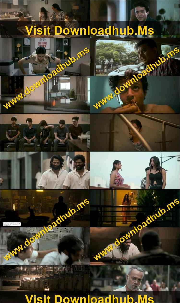 Euphoria 2026 Hindi ORG Dual Audio Movie DD2.0 1080p 720p 480p UNCUT HDRip ESubs HEVC
