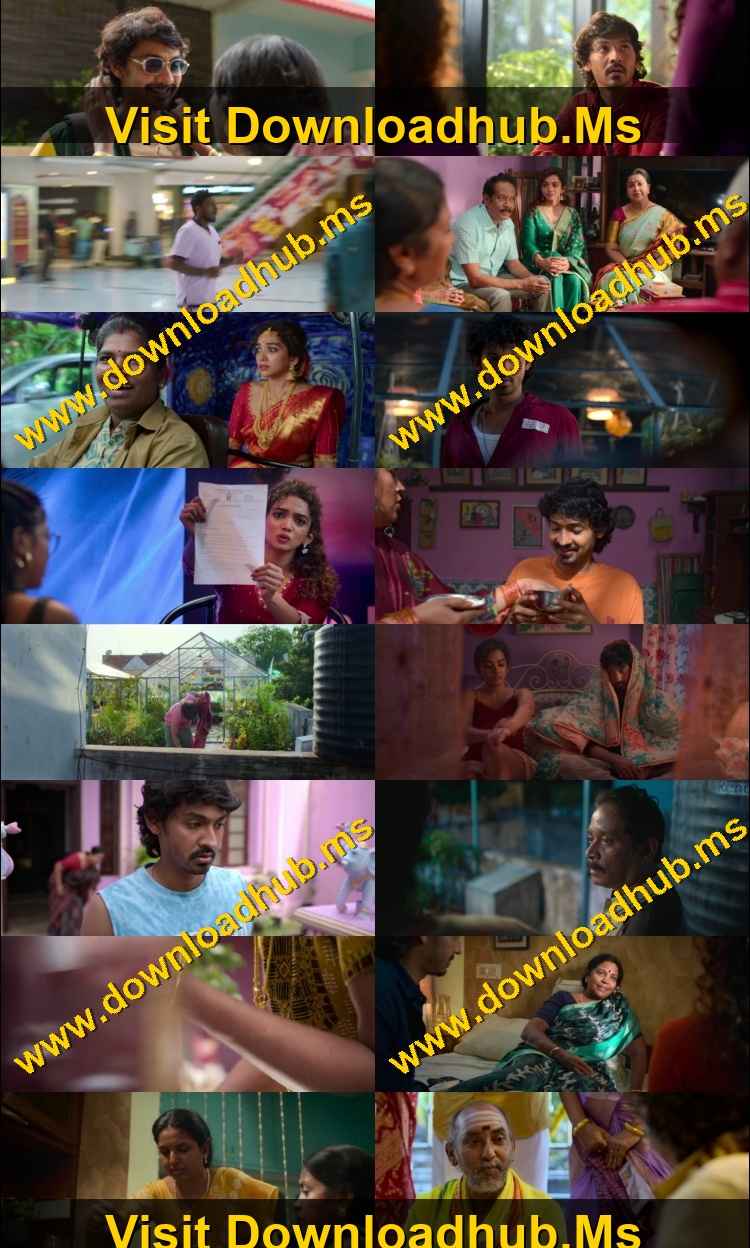 Pyaar Prema Kalyanam 2026 Hindi ORG Dual Audio Movie DD5.1 4k 1080p 720p 480p UNCUT HDRip ESubs x264 HEVC