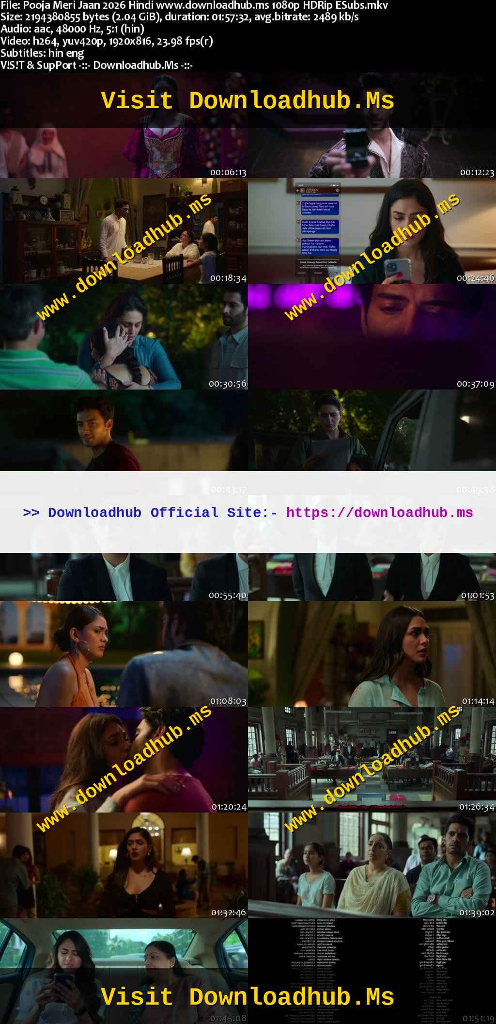 Pooja Meri Jaan 2026 Hindi Movie DD5.1 4k 1080p 720p 480p HDRip ESubs x264 HEVC