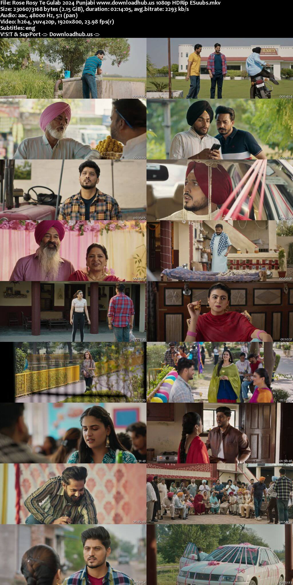 Rose Rosy Te Gulab 2024 Punjabi DD5.1 Movie 4k 1080p 720p 480p HDRip ESubs HEVC